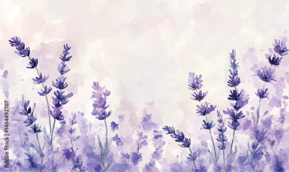Obraz premium Lavender watercolor abstract background texture
