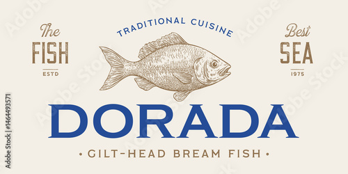 Gilt-head bream, fish, Dorado, seafood, sketch. Vintage retro print, seafood fish sketch, logo sign template, ink pencil style drawing, engrave old school. Hand drawn sketch fish. Vector Illustration