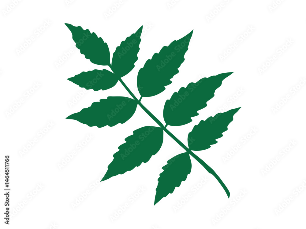 Dark Green Leaf Branch Silhouette Against White Background, elegant silhouette of a leaf branch with dark green leaves, fern, leaf, branch, silhouette, black and white, minimalist illustration, botani Dark Green Leaf Branch Silhouette Against White Background, elegant silhouette of a leaf branch with dark green leaves, fern, leaf, branch, silhouette, black and white, minimalist illustration, botani