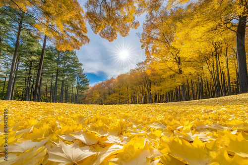Golden Autumn Forest Landscape with Sunlit Yellow Leaves