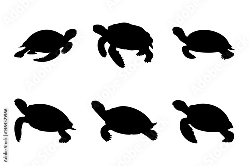 Turtle silhouette set ocean life sea turtles design