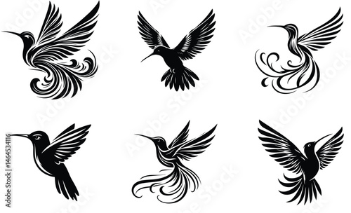 Six Elegant Hummingbird Designs Black and White Vector Illustrations
