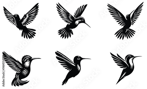 Six Black Hummingbird Silhouettes in Flight Elegant Bird Designs