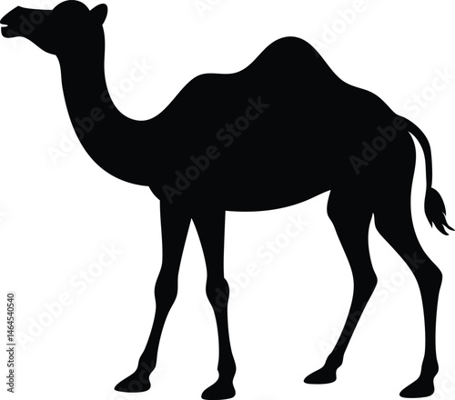 camel silhouette vector isolated