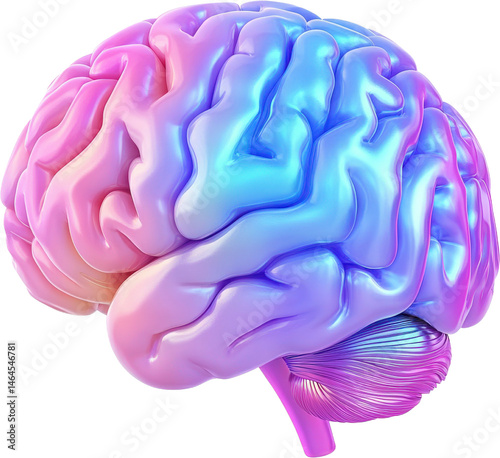 3D Rendered Colorful Human Brain