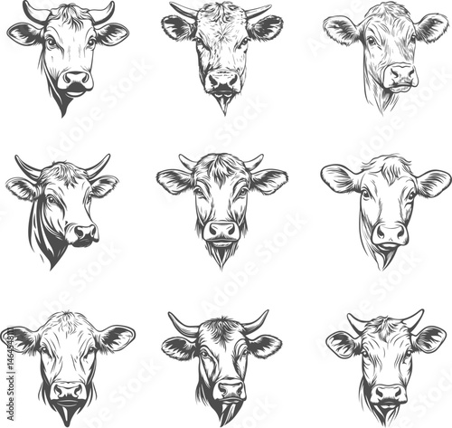 Cow head silhouettes isolated on transparent background. Vector illustration