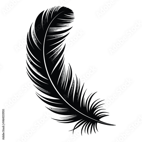 Cockatoo Feather Silhouette, Vector, Illustration, Icon, Logo, White Background.