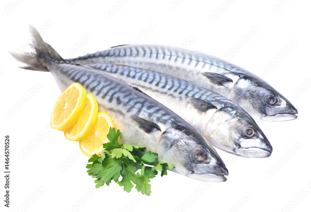 Fresh fish makerel isolated