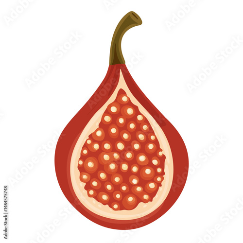 Salak 2D flat vector illustration, isolated on a white background.