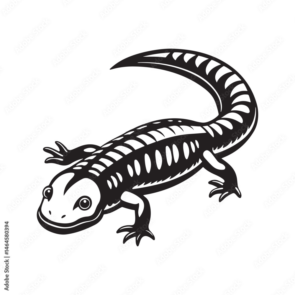 Fototapeta premium tiger salamander vector art illustration