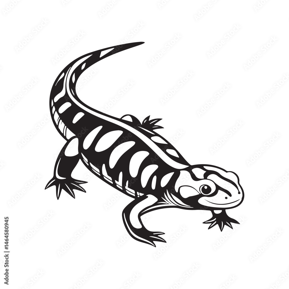 Obraz premium tiger salamander vector art illustration