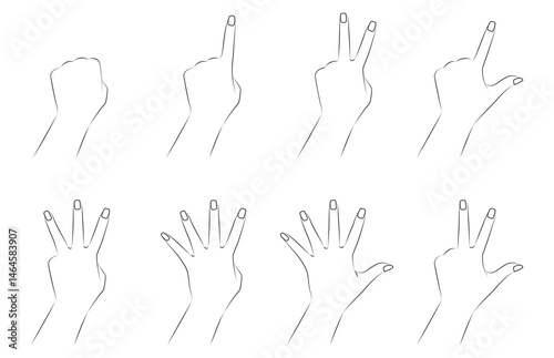 Outline Vector Set of Hand Gestures - Counting Fingers and Basic Signs.