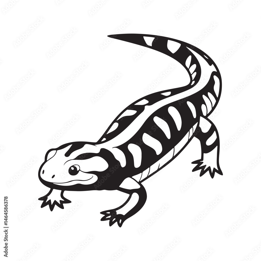 Obraz premium tiger salamander vector art illustration