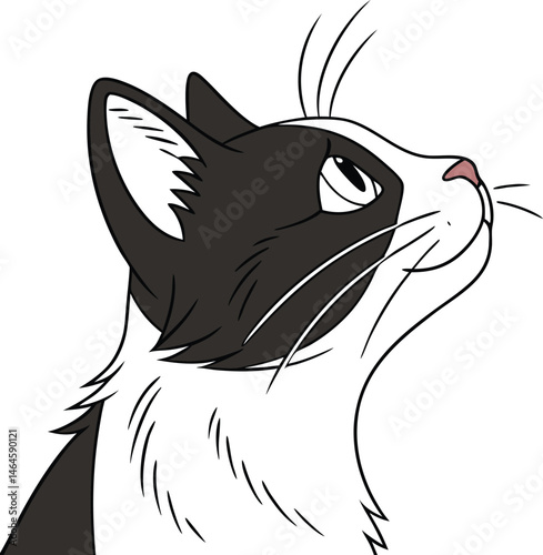 A cute cartoon vector illustration shows a sitting black and white feline kitty with a smile