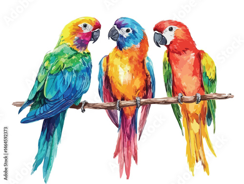hand drawn birds vector art