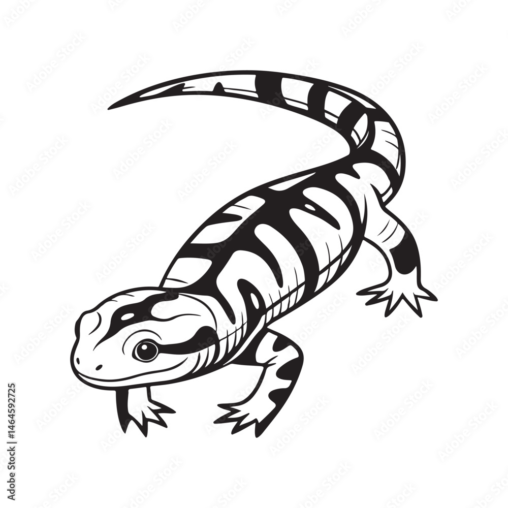 Fototapeta premium tiger salamander vector art illustration