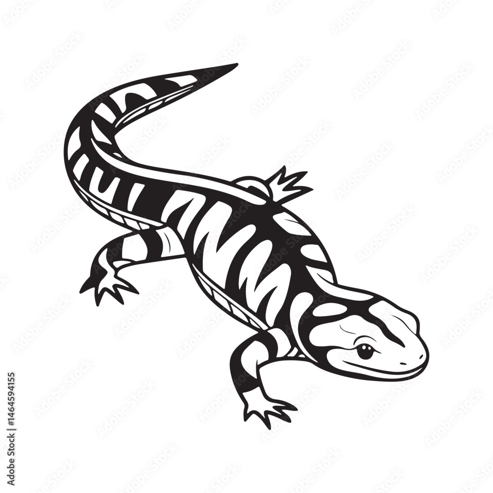 Naklejka premium tiger salamander vector art illustration
