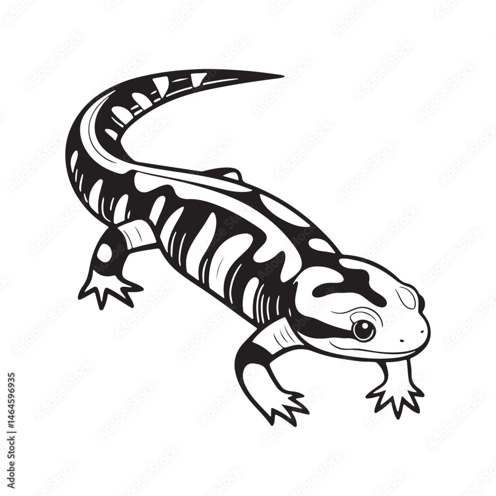 Fototapeta premium tiger salamander vector art illustration