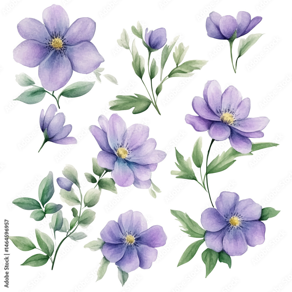 A set of hand-drawn watercolor flowers, featuring a soft purple hue and natural green leaves, isolated on a transparent background (7) A set of hand-drawn watercolor flowers, featuring a soft purple hue and natural green leaves, isolated on a transparent background (7)