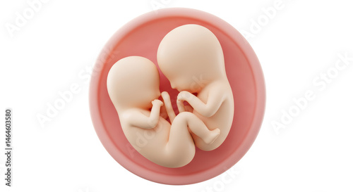 Isolated Embryos in the womb