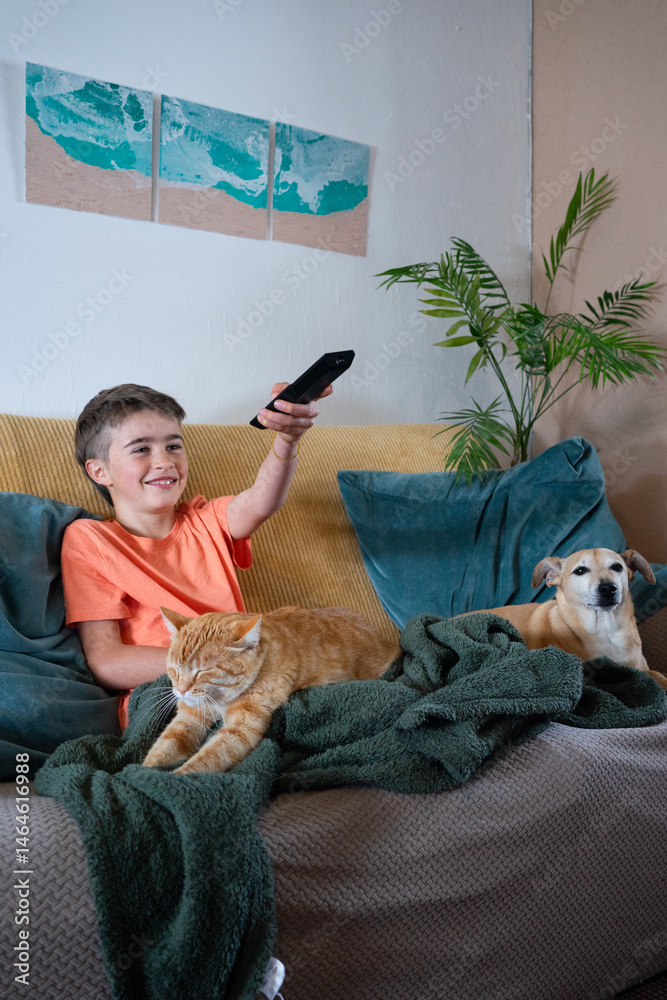 Obraz premium Boy watching tv with cat and dog on sofa: comfortable home entertainment