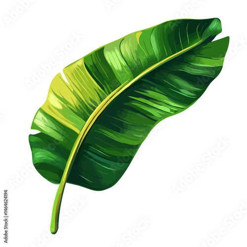 2D flat vector illustration of A Vibrant Banana Leaf Waving Under Sunlight, isolated on a white background.