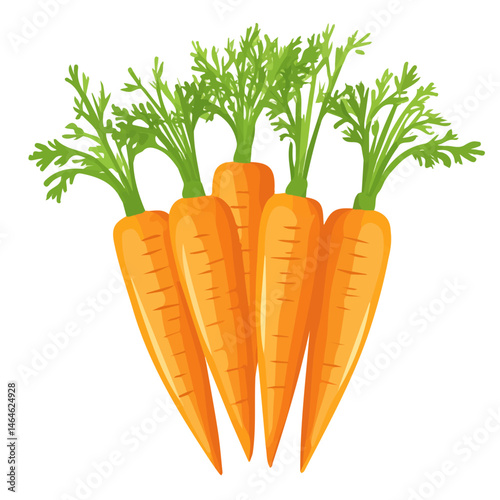 A Bunch Of Freshly Picked Summer Carrots 2D flat vector illustration, isolated on a white background.