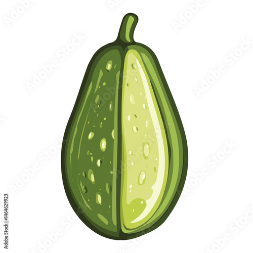 2D flat vector illustration of Cupuacu, isolated on a white background.