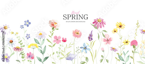 Abstract spring floral art background vector illustration. Watercolor hand painted botanical flower, leaves, eucalyptus, wildflower, stalk. Design for wallpaper, banner, card, print, wedding.