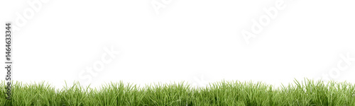 green grass isolated on white background
