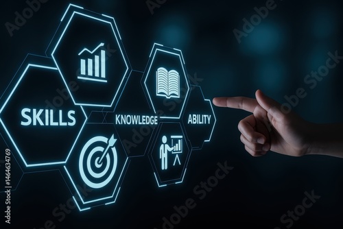 Business Skills and Knowledge Development Interface