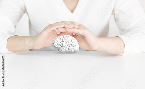 Human Hands Protecting White Brain Model on Clean White Background