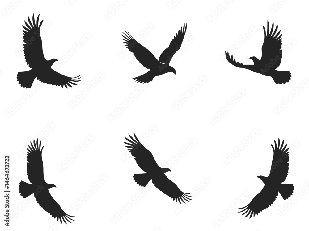 Obraz premium Eagle in Flight Silhouette – Majestic Bird Vector Illustration