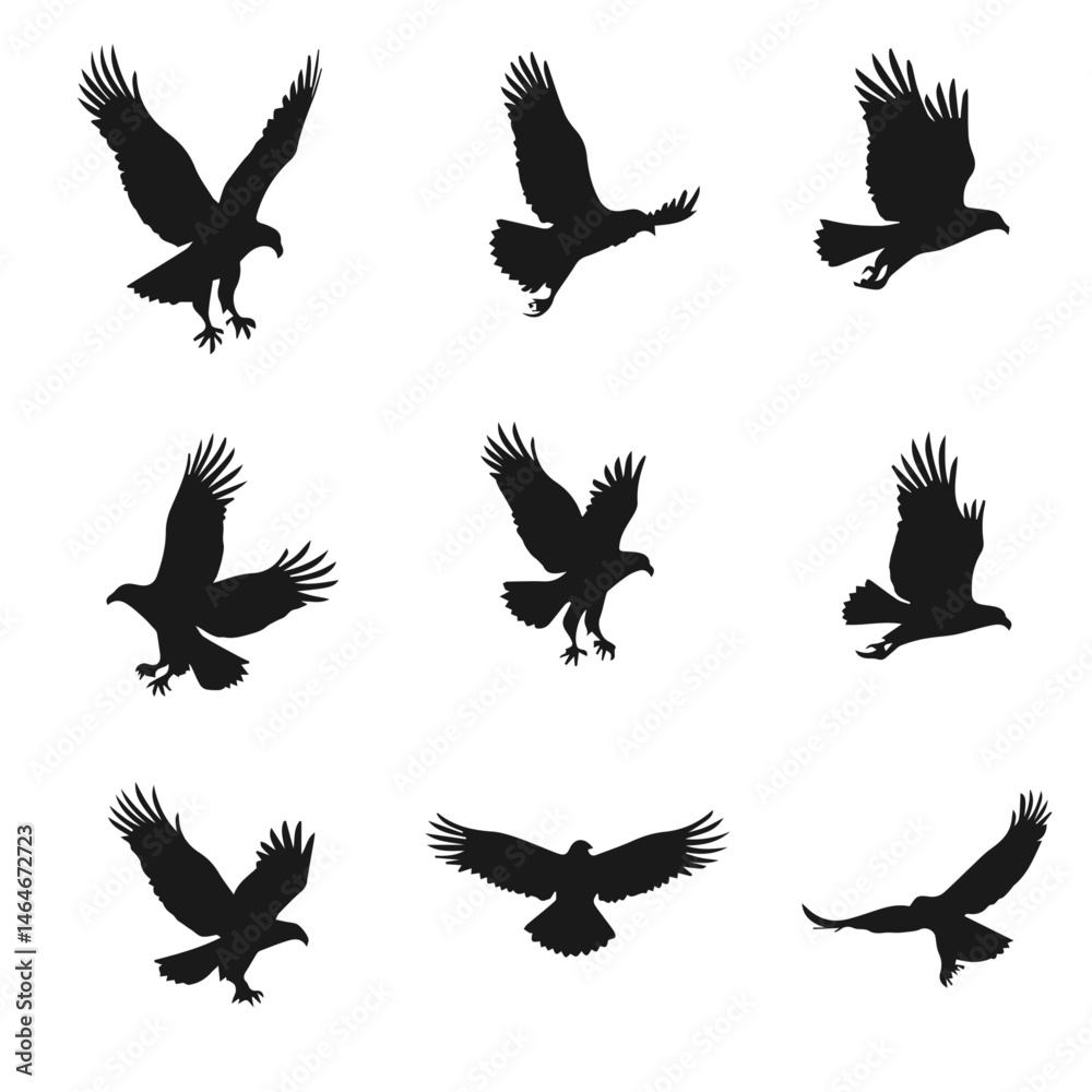 Obraz premium Eagle in Flight Silhouette – Majestic Bird Vector Illustration