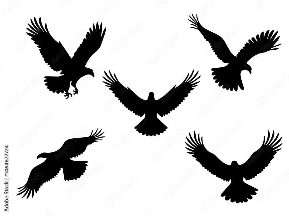 Obraz premium Eagle in Flight Silhouette – Majestic Bird Vector Illustration
