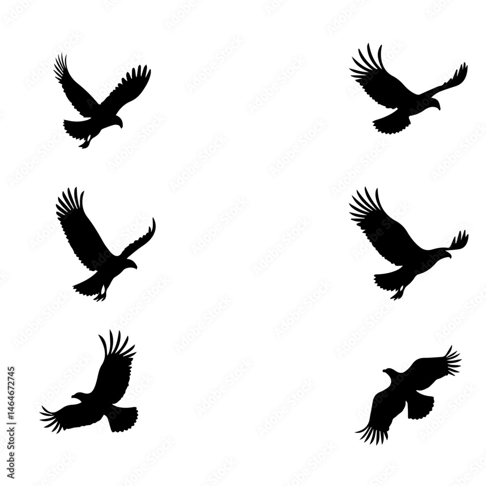 Fototapeta premium Eagle in Flight Silhouette – Majestic Bird Vector Illustration