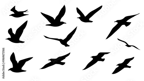 Seagull Silhouette Vector Set – Collection of Bird Shapes for Coastal and Nature Designs