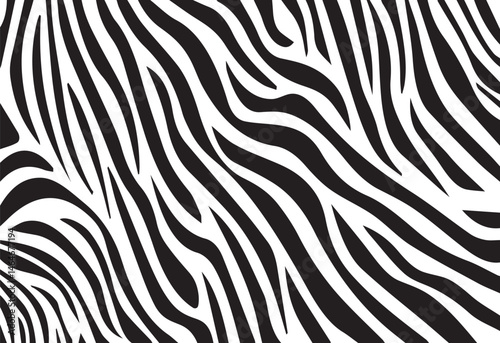 Beautiful Zebra background Pattern