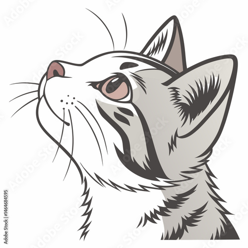vector illustration of a cat