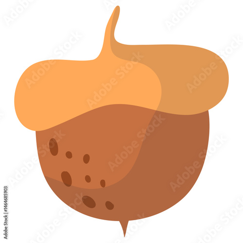 Acorn Illustration Set 