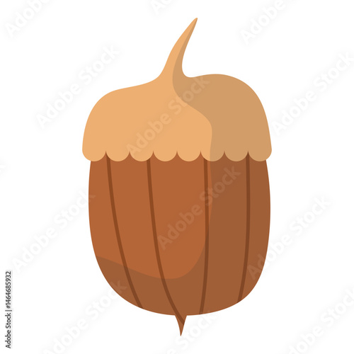 Acorn Illustration Set 