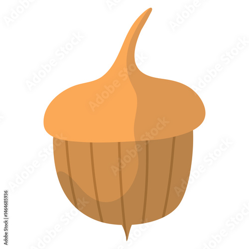 Acorn Illustration Set 