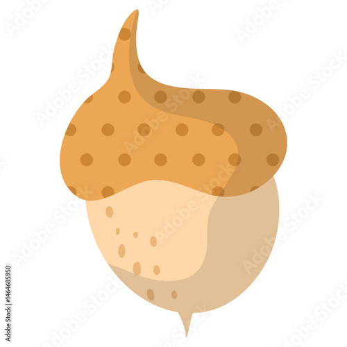 Acorn Illustration Set 