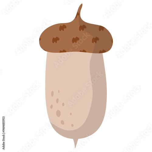 Acorn Illustration Set 