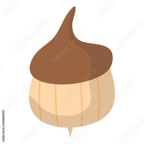 Acorn Illustration Set 