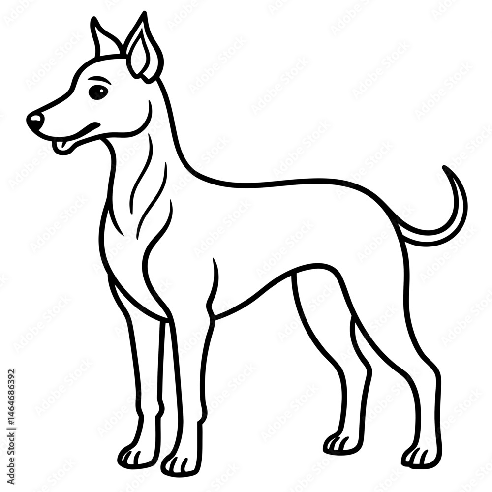 Obraz premium black and white dog