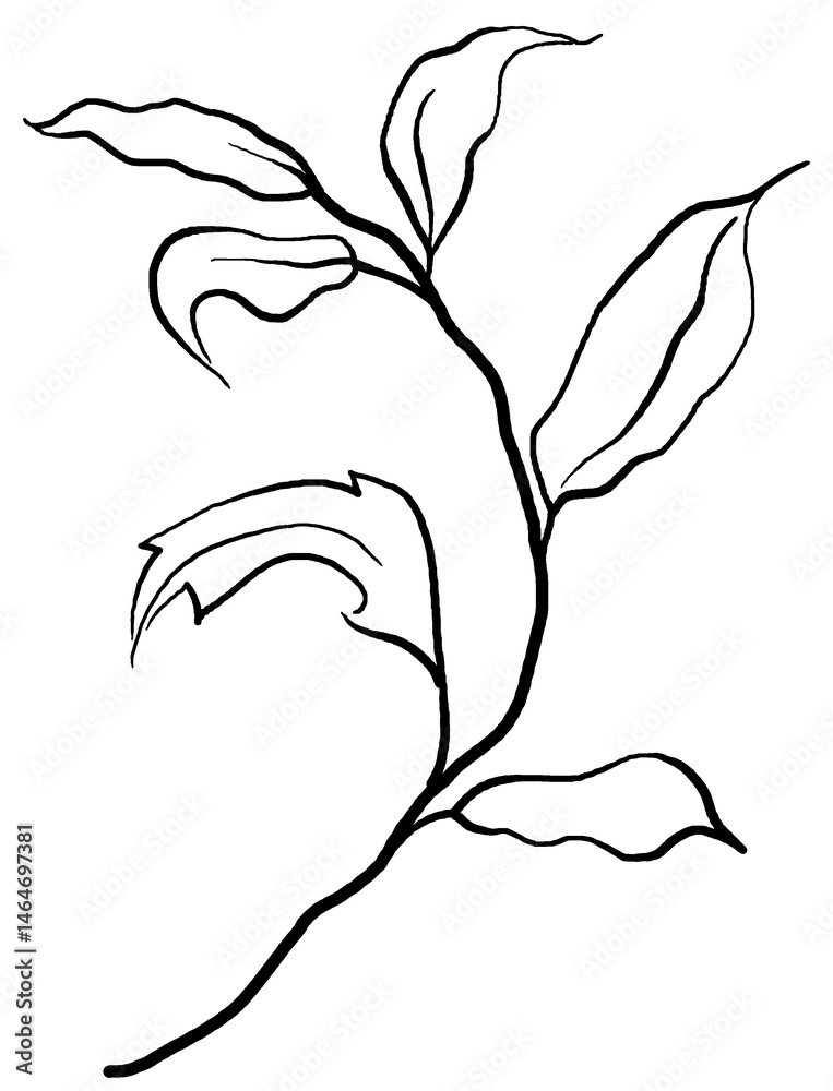 Hand drawn twig with leaves, black outlines, isolated illustration, wedding stationery element