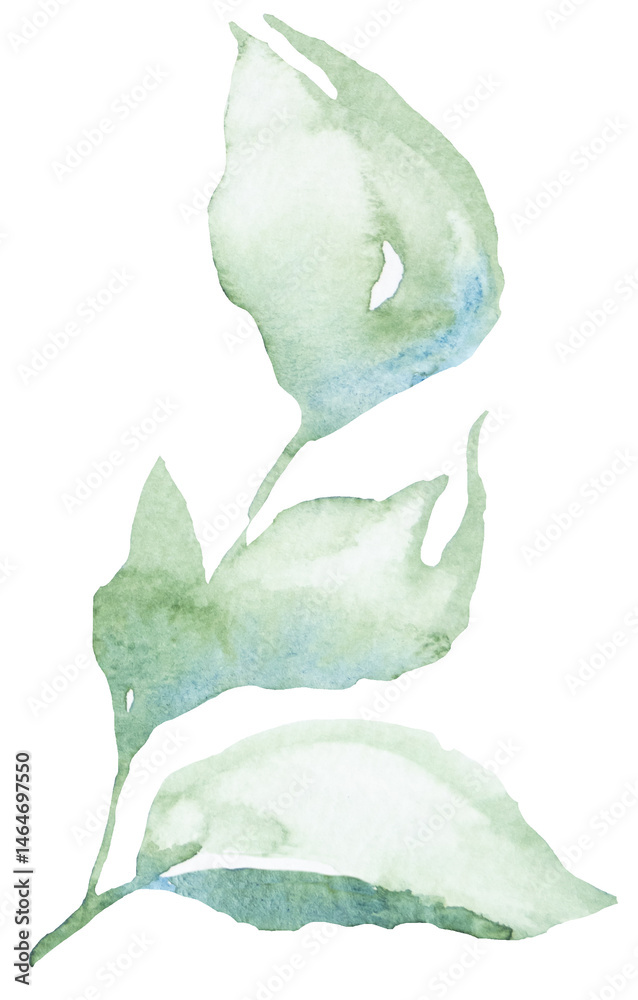 Watercolor twig with light green leaves isolated illustration, pastel wedding stationery element