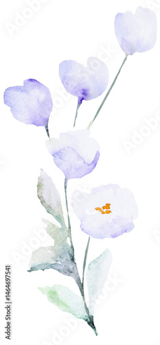 Obraz na płótnie Watercolor light purple wild flower isolated illustration, floral wedding and greeting element w salonie