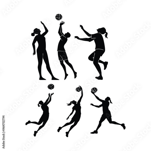 Volleyball game